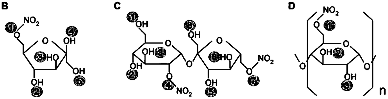 Food therapy healthcare composite fruit and vegetable nitrogen oxide donor nutrient and preparation method