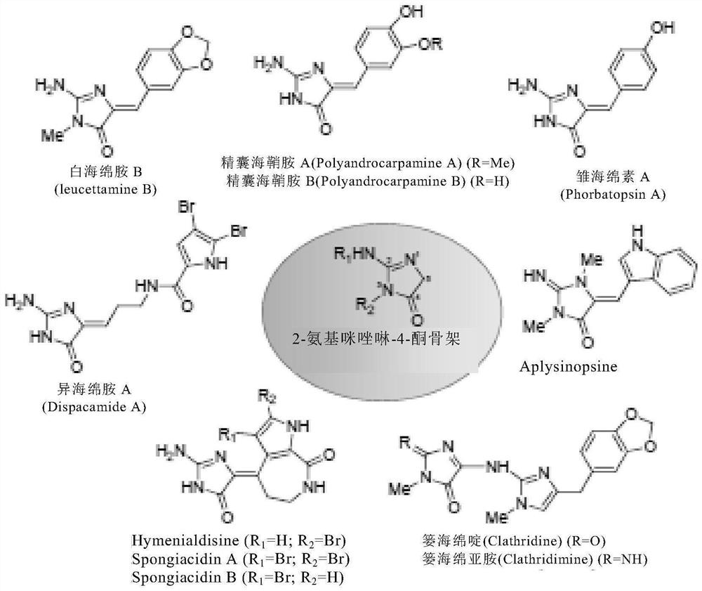 Use of heterocyclic derivatives having cardiomyocyte proliferative activity for treatment of heart diseases