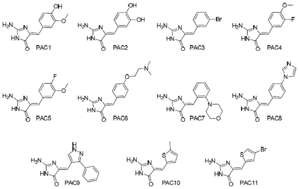 Use of heterocyclic derivatives having cardiomyocyte proliferative activity for treatment of heart diseases