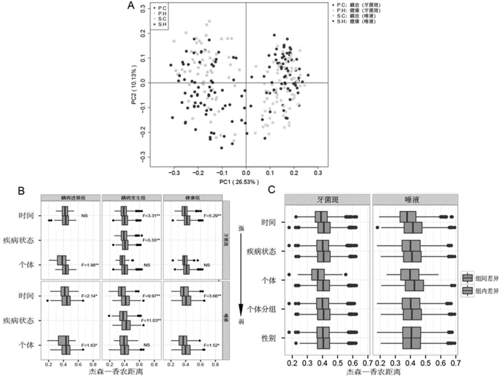 Building method and application of oral microbial community detection model