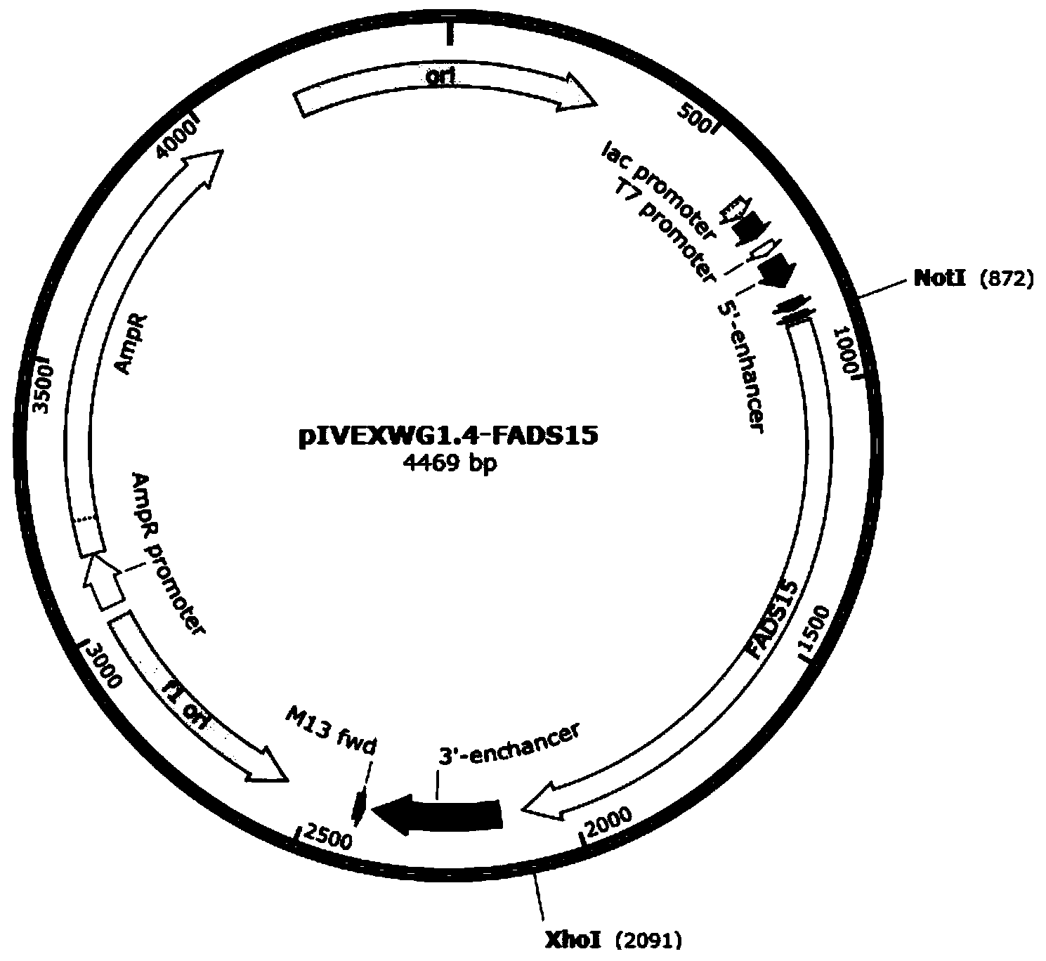 Method for expression of fatty acid desaturase by acellular protein synthesis system