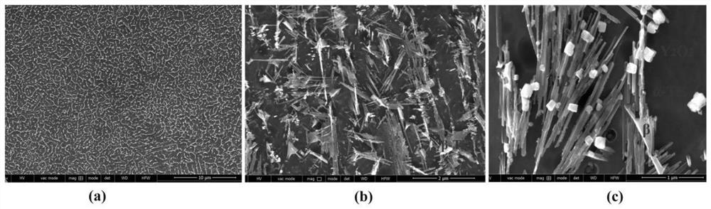 Additive manufacturing method for nano-particle reinforced titanium-based composite material based on electron beam selective melting