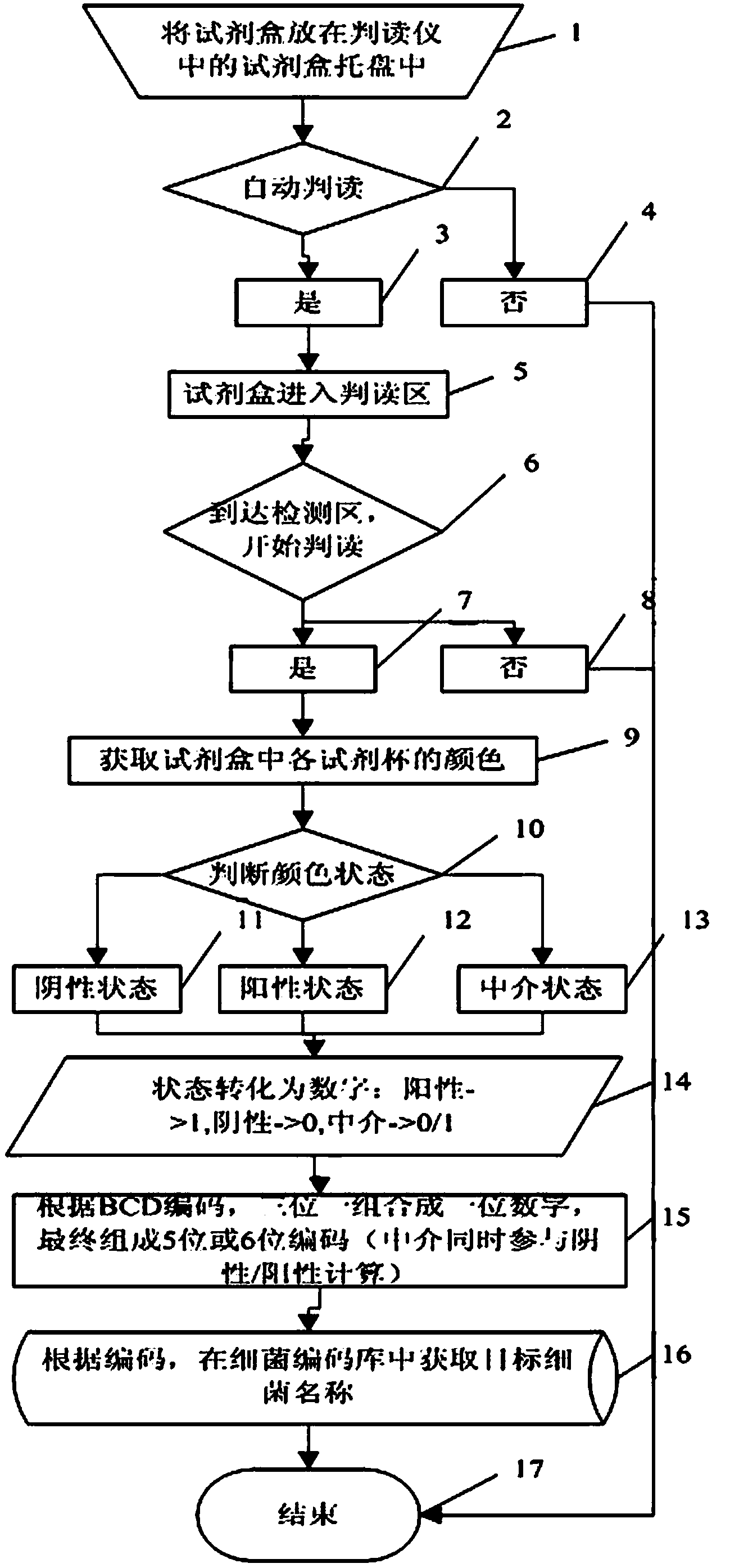 Method and system for identifying bacteria and analyzing drug sensitivity