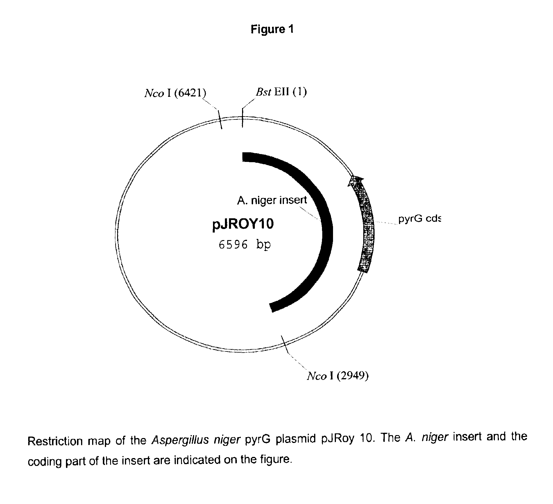 Method of producing a polypeptide using oxaloacetate hydrolase deficient fungal host cells