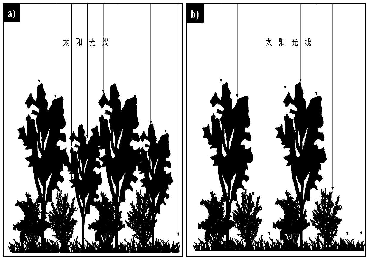 Vegetation radiation transmission model forest fire burning intensity inversing method