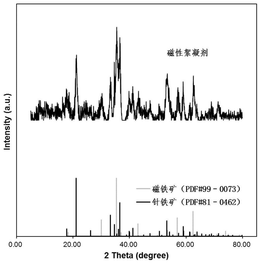 Preparation method of magnetic flocculant and application of magnetic flocculant in removal of microcystis aeruginosa