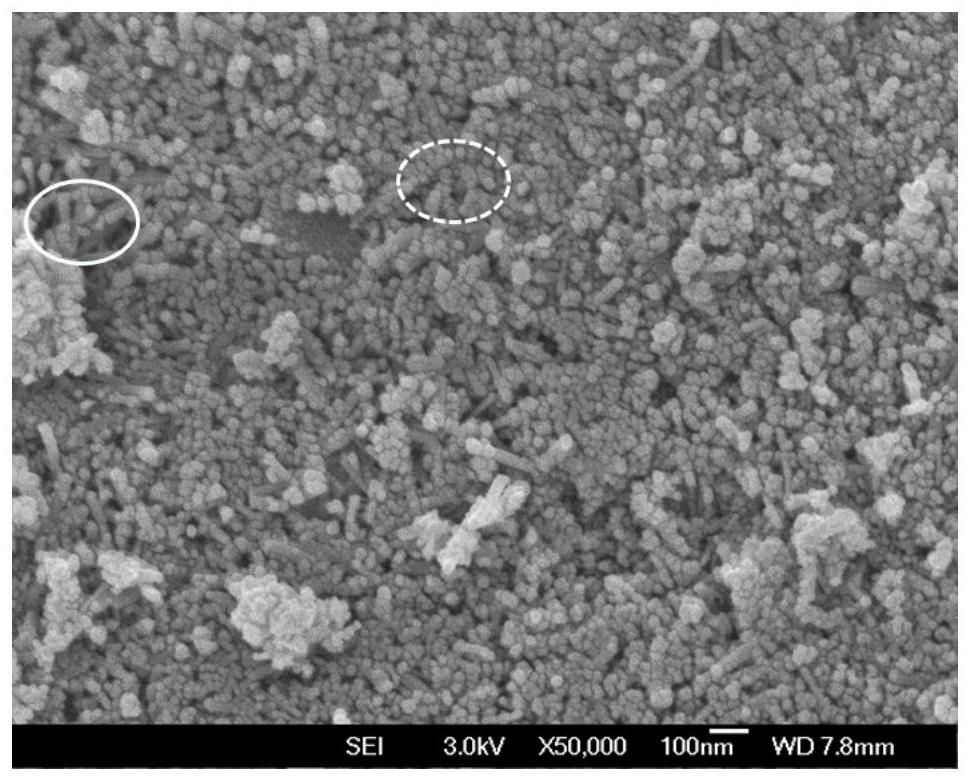 Preparation method of magnetic flocculant and application of magnetic flocculant in removal of microcystis aeruginosa