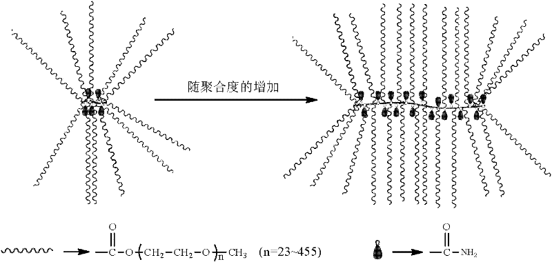 Preparation method of pectinate high-polymer phase-change energy storage material