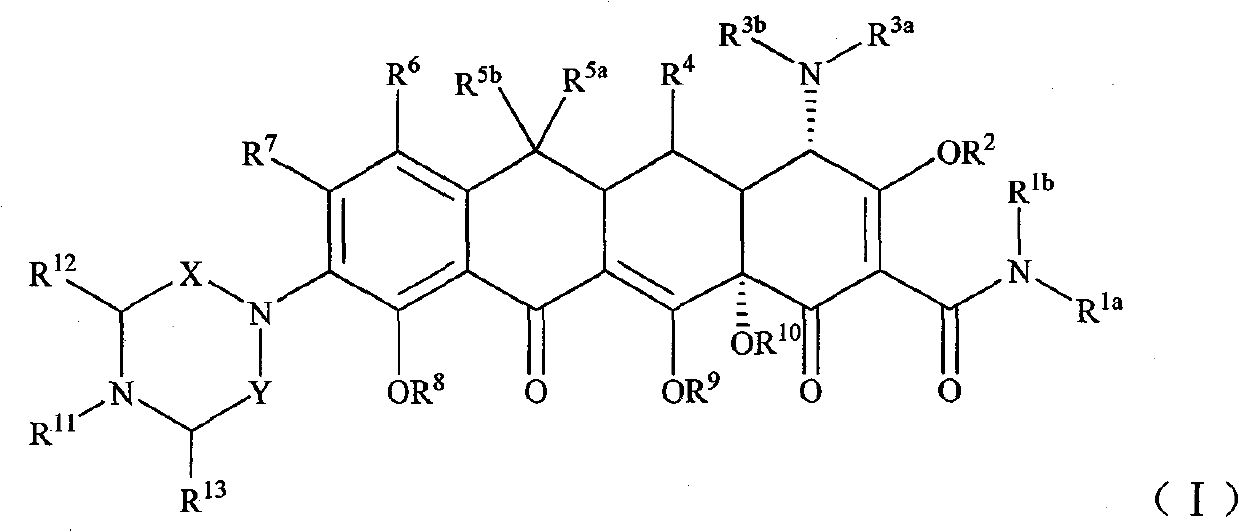 Piperazinone substituted tetracycline derivatives