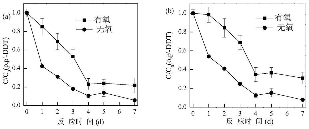 A kind of composition and application thereof for processing ddt in polluted soil