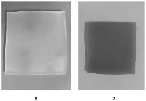 Preparation method of double-network hydrogel based on coordination crosslinking and hydrophobic association crosslinking