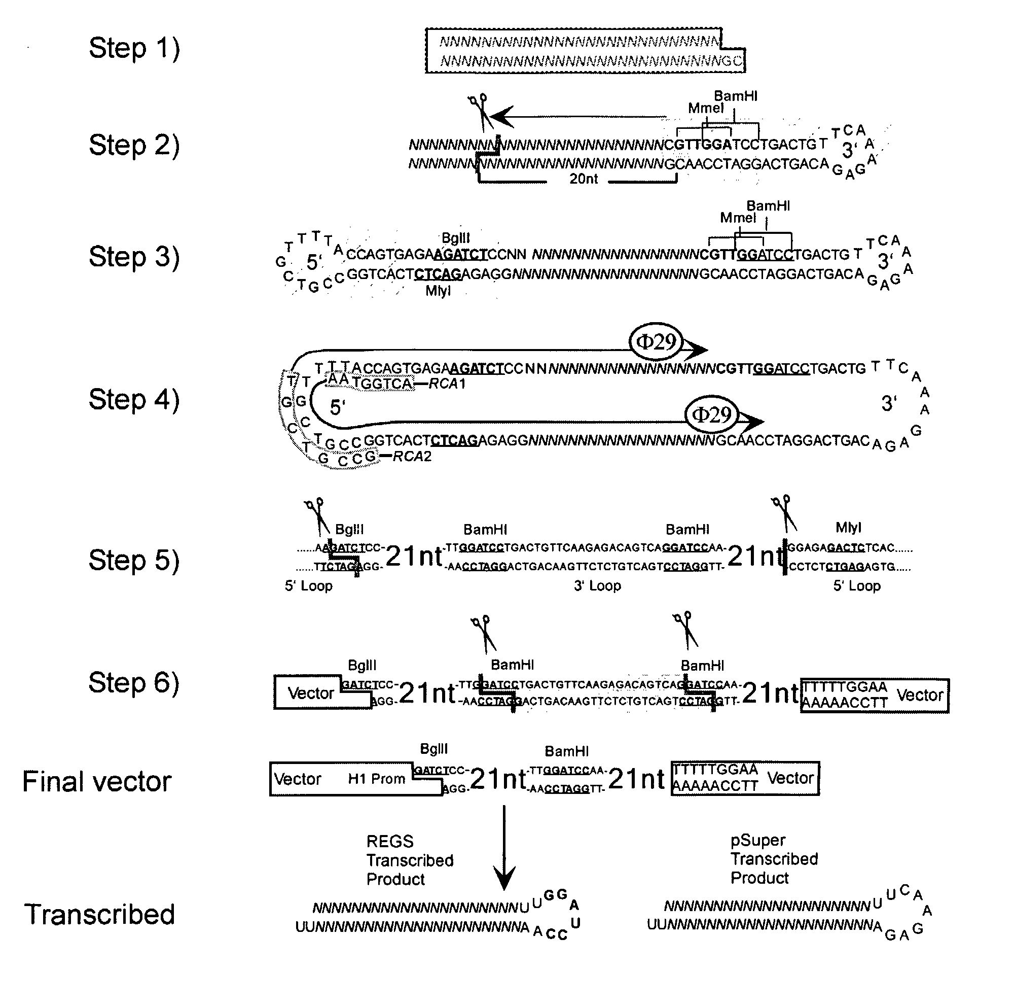 Methods and Compositions for Use in Preparing Hairpin Rnas