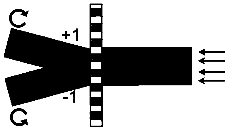 Point diffraction digital holographic microscopy device and method based on polarization grating