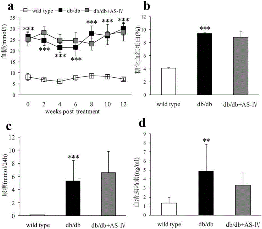 Application of astragaloside in preventing and treating type 2 diabetic nephropathy