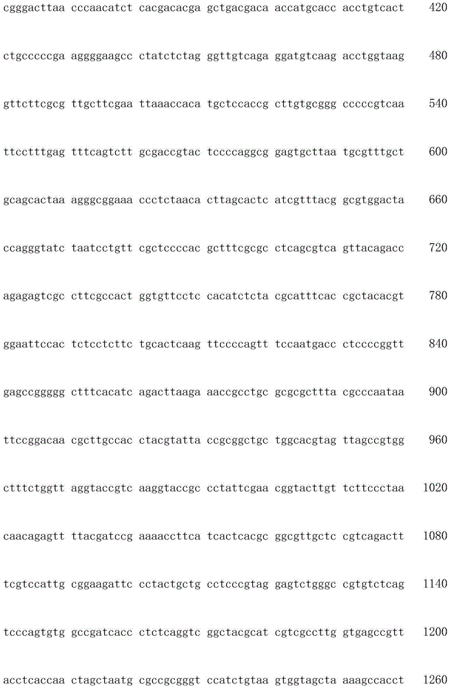 Bacillus licheniformis, microbial inoculum, application thereof and method for passivating heavy metals