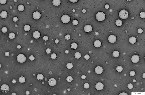 Bovine serum albumin-folic acid modified chitosan nano drug delivery system loaded with berberine and doxorubicin and preparation method of bovine serum albumin-folic acid modified chitosan nano drug delivery system