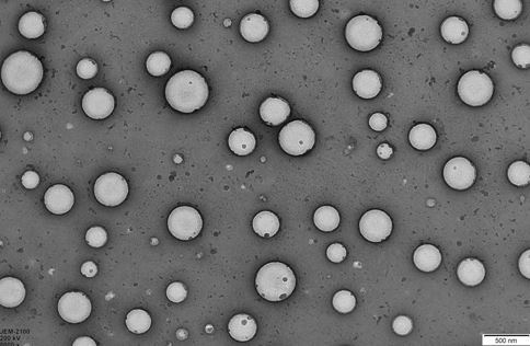 Bovine serum albumin-folic acid modified chitosan nano drug delivery system loaded with berberine and doxorubicin and preparation method of bovine serum albumin-folic acid modified chitosan nano drug delivery system