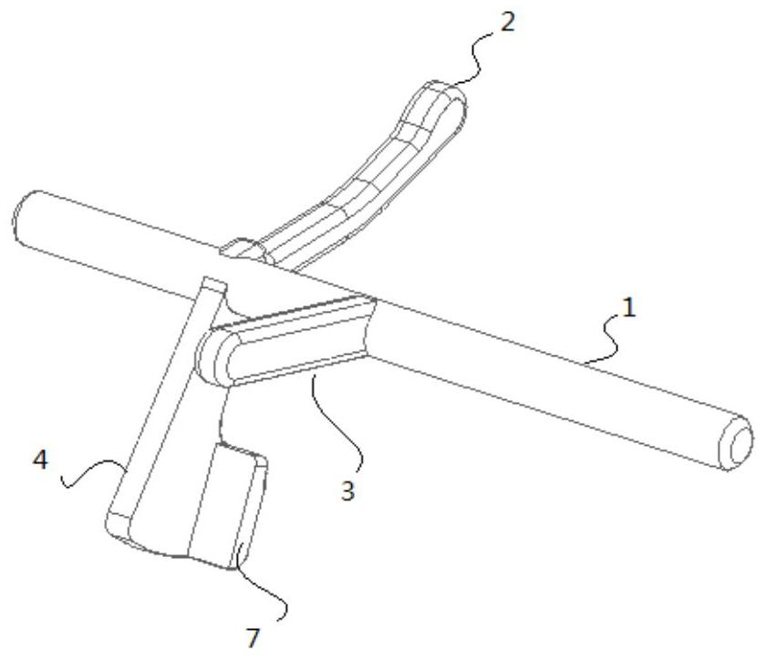 Detection structure, image forming device