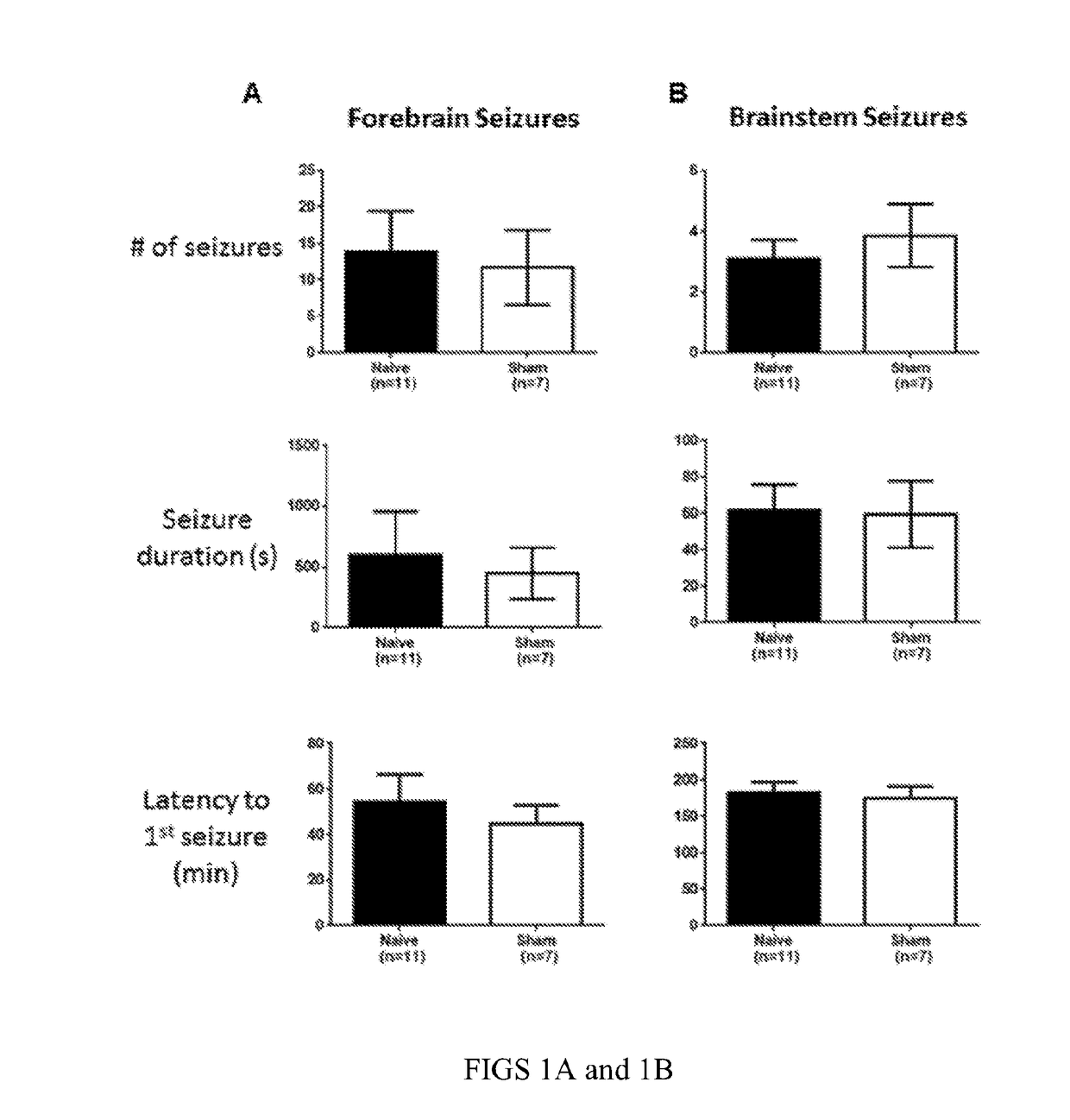 Stimulation of the ventral pallidum for the treatment of epilepsy