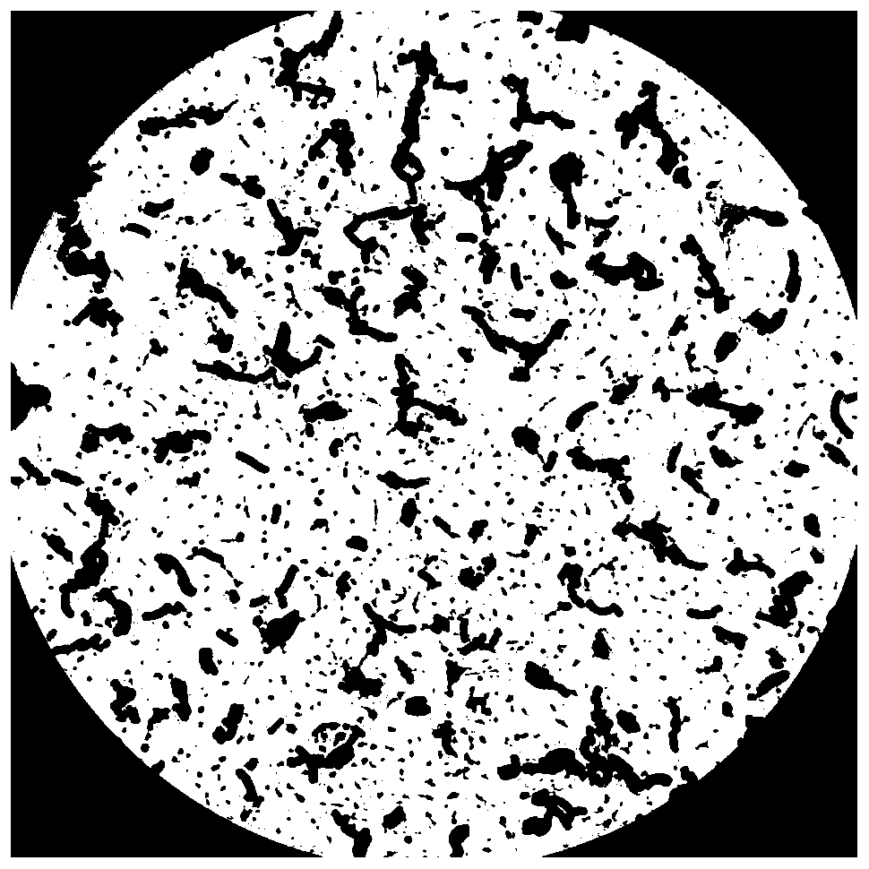 A strain of Lactobacillus helveticus with high production of lysine aminopeptidase and its application