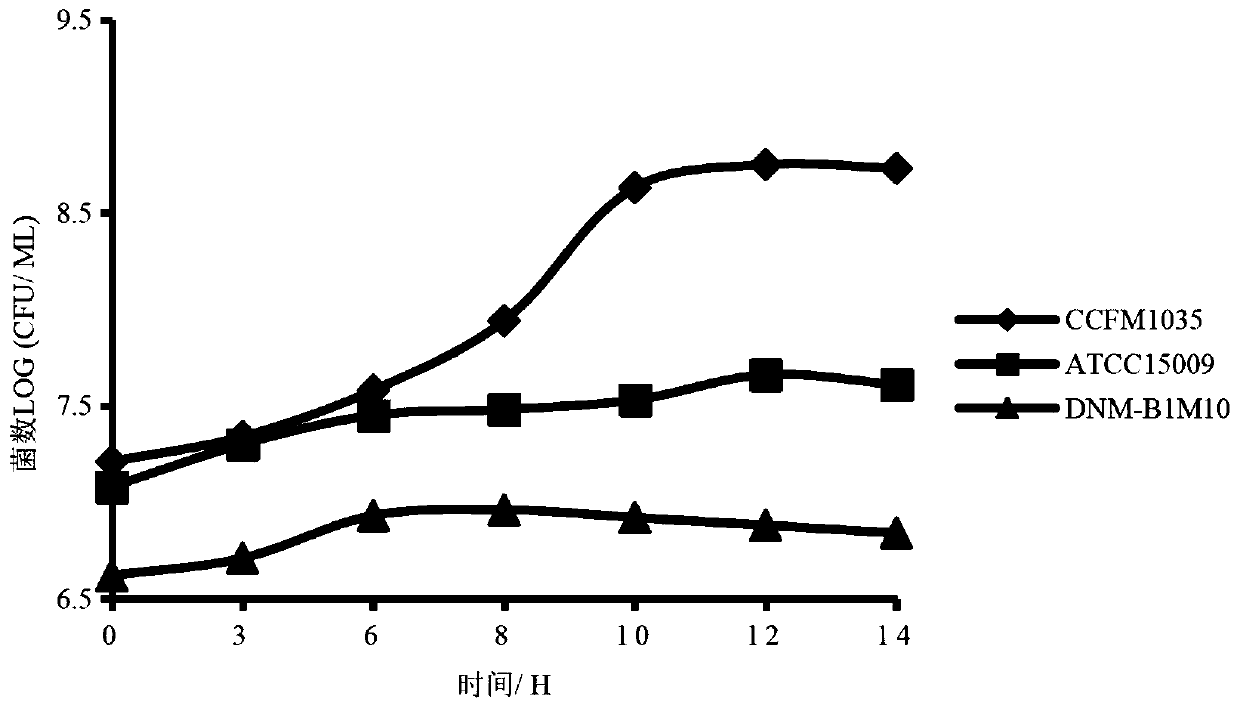 A strain of Lactobacillus helveticus with high production of lysine aminopeptidase and its application