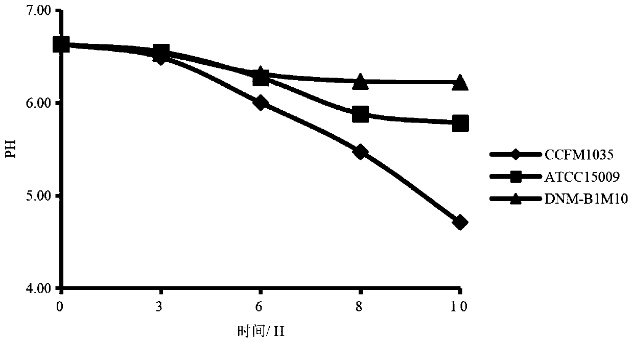 A strain of Lactobacillus helveticus with high production of lysine aminopeptidase and its application