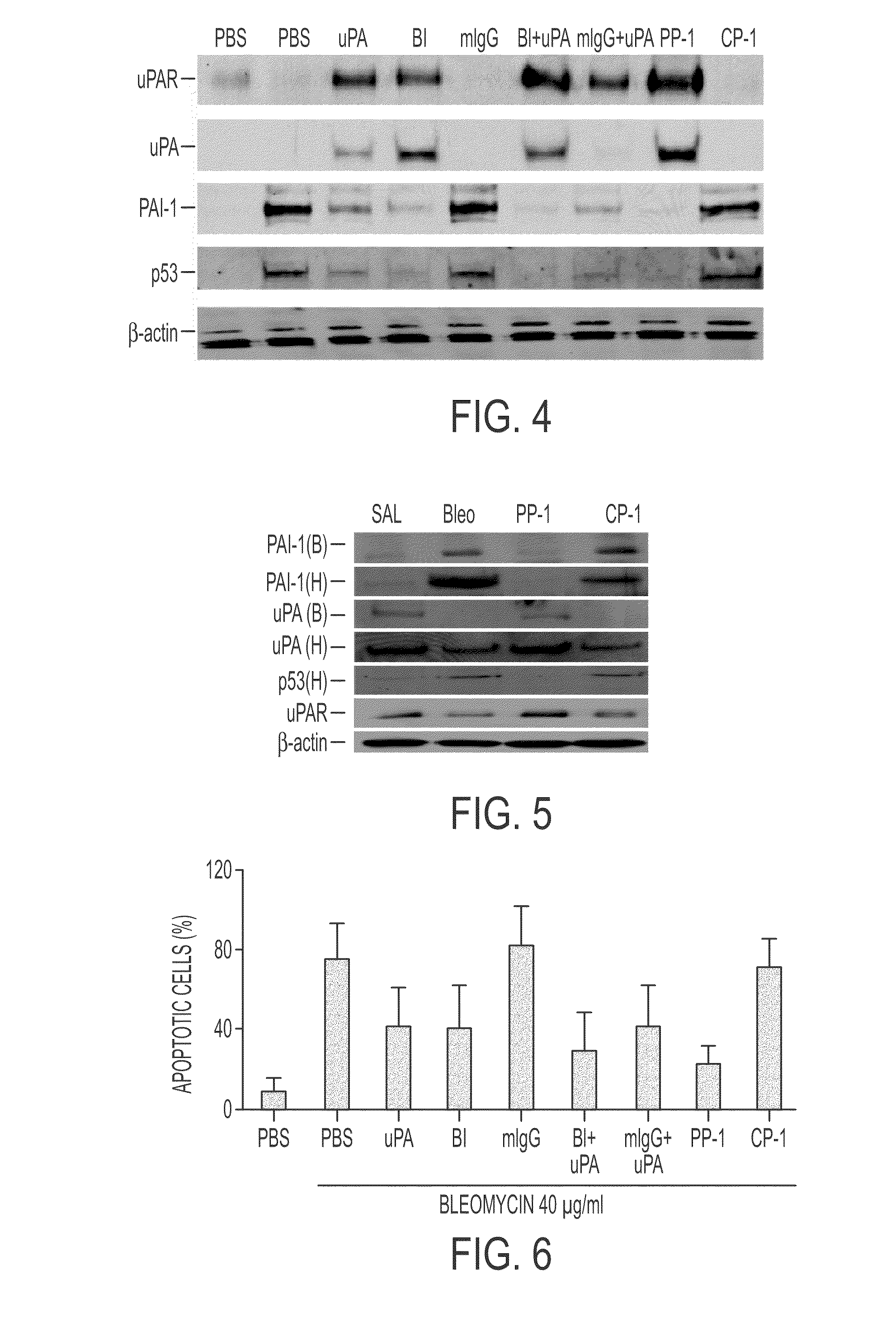 Peptide inhibition of lung epithelial apoptosis and pulmonary fibrosis