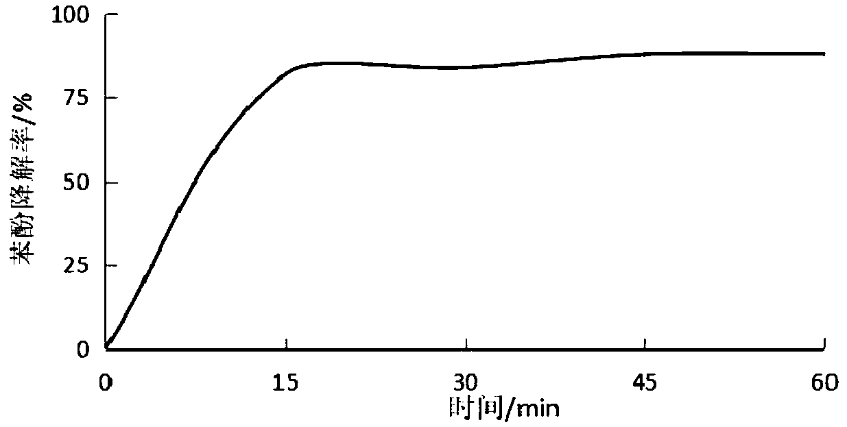 Ag+-Fe2+ activated persulfate, method for degrading pollutants and application