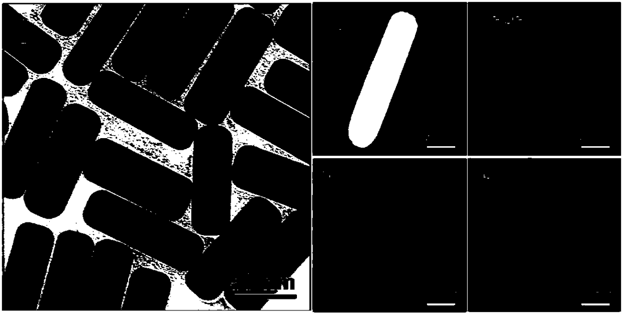 Method for preparing alloy nanoparticle