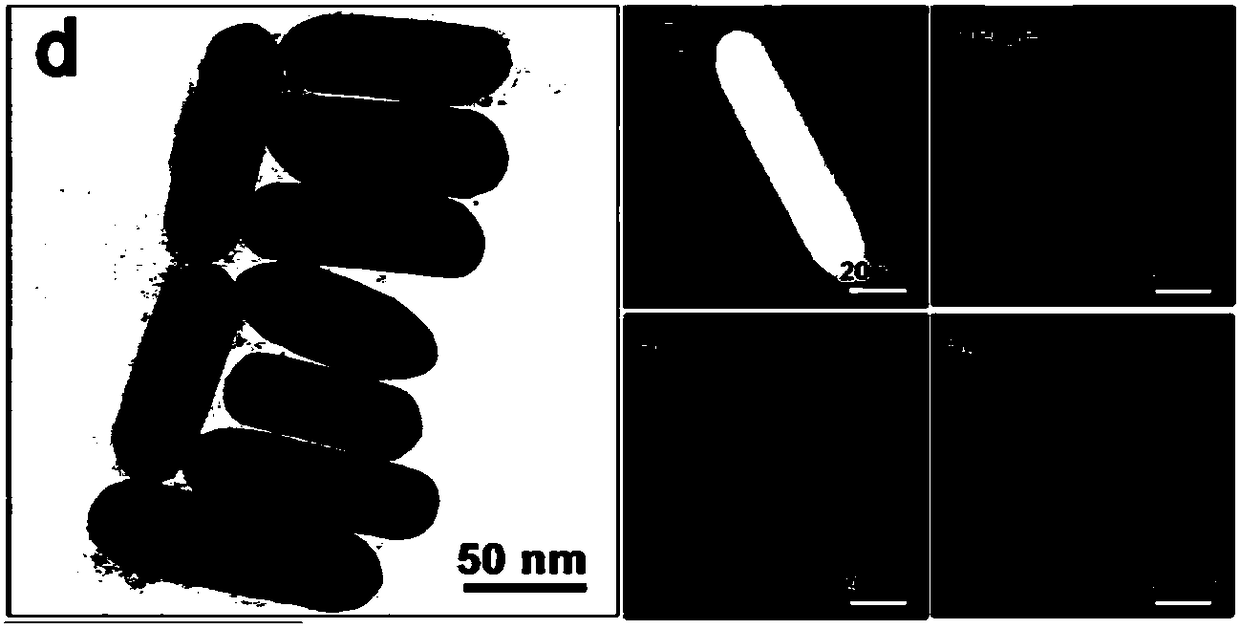 Method for preparing alloy nanoparticle