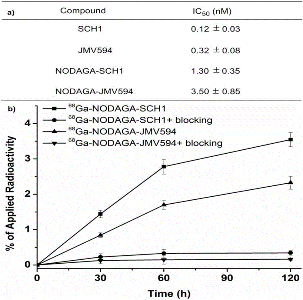 GRPR targeted molecular probe and preparation method thereof