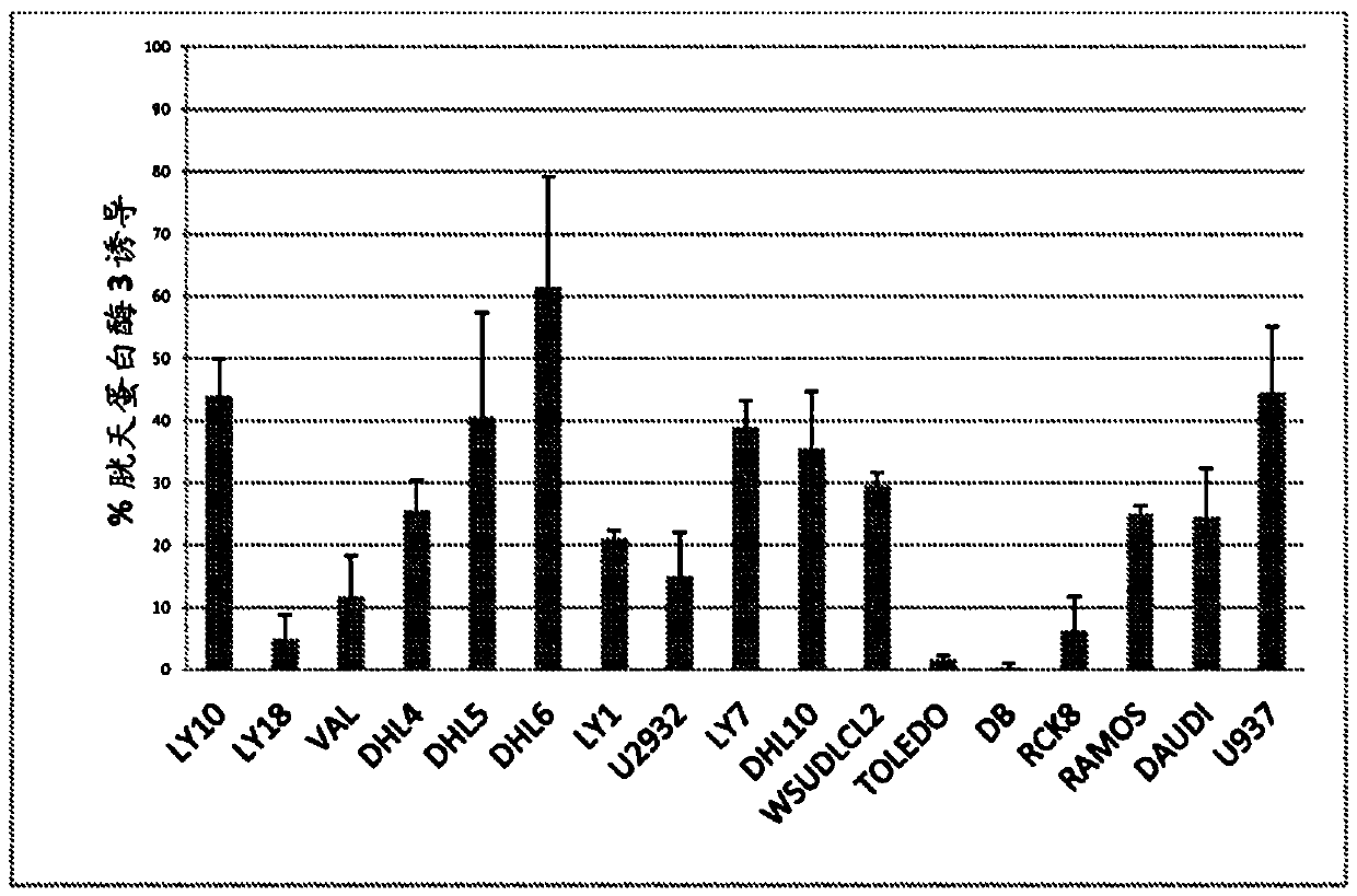 Cerdulatinib For The Treatment Of B-Cell Malignancies