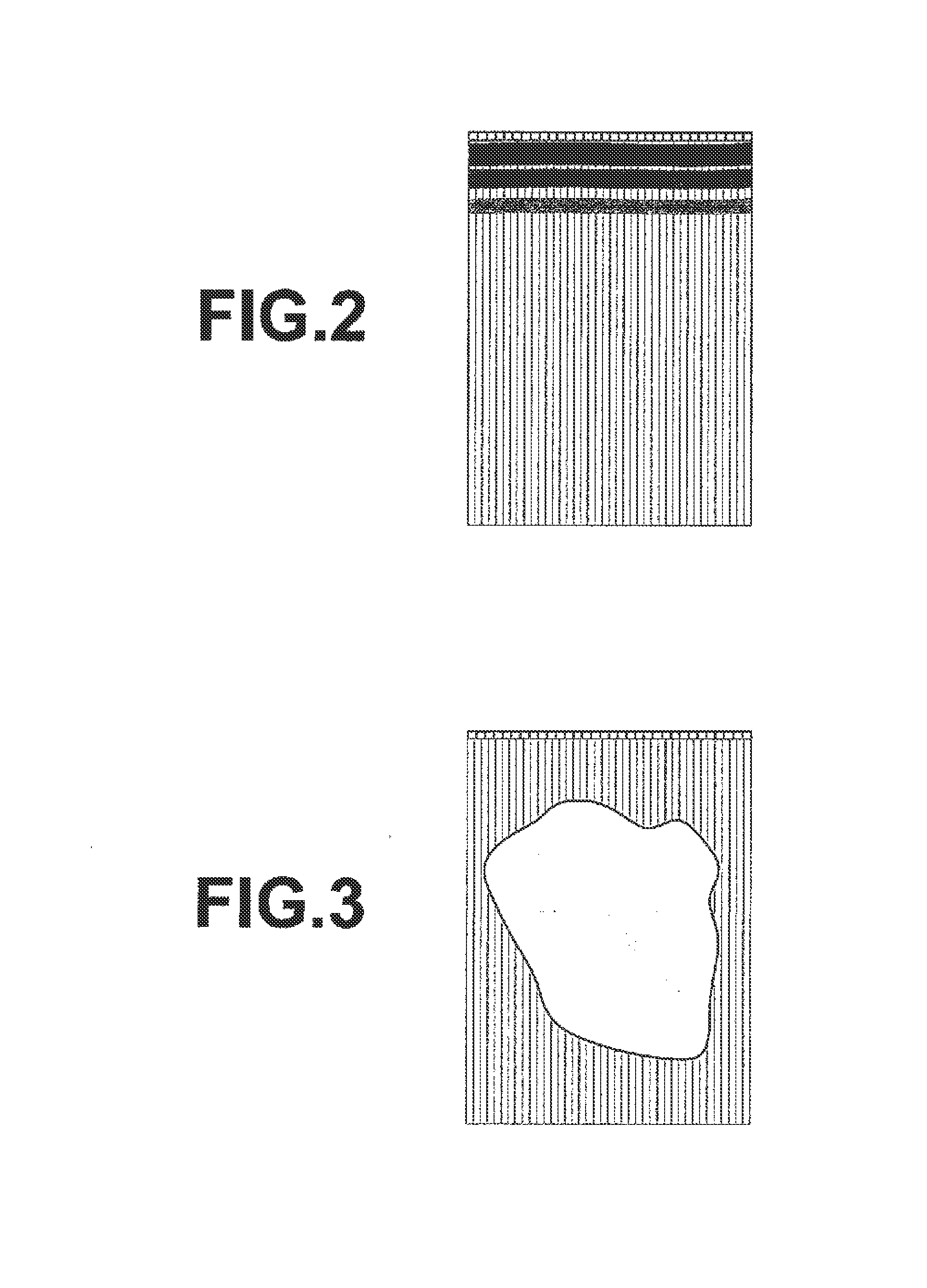 Photoacoustic imaging apparatus and photoacoustic imaging method