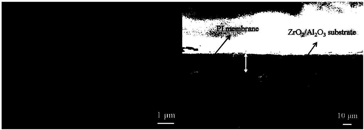 Polyimide (PI) composite membrane for pervaporation separation of amide/water and preparation method thereof