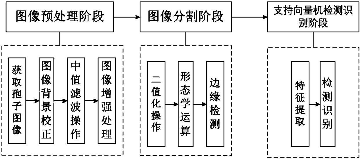 Microscopic image detection and recognition method for rice blast fungus spore based on support vector machine