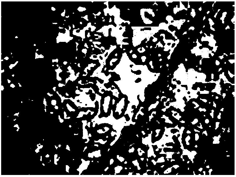 Microscopic image detection and recognition method for rice blast fungus spore based on support vector machine