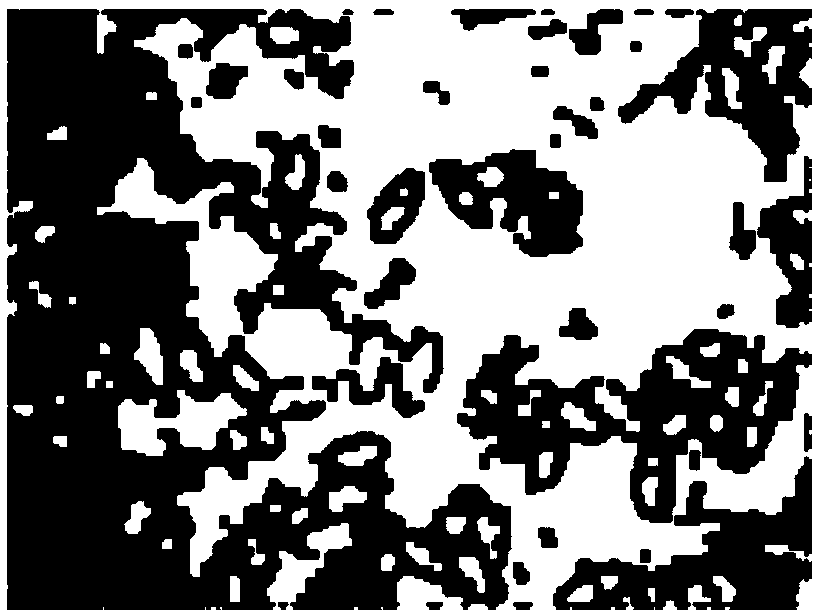 Microscopic image detection and recognition method for rice blast fungus spore based on support vector machine