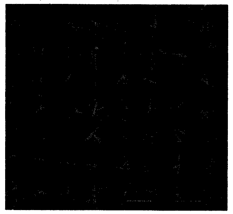 Method for preparing chitosan-based superfine fiber carrier material for medical dressing