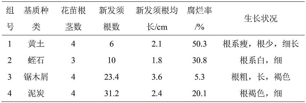 Alstroemeria root growth promoting method