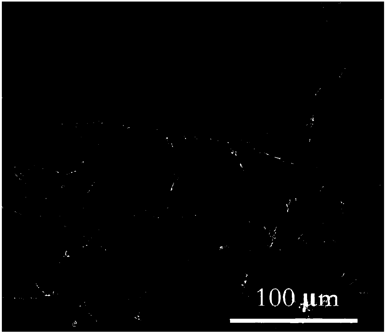 Biological cellulose skin repair material and preparation method thereof