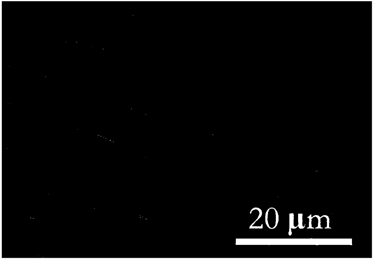 Biological cellulose skin repair material and preparation method thereof