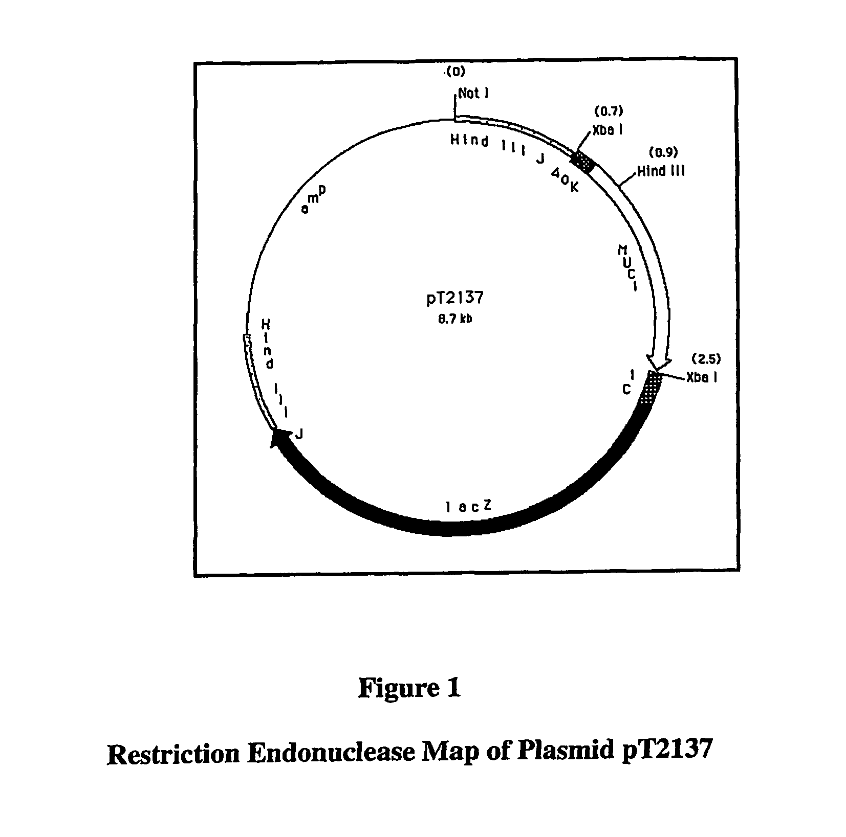 System for treating and preventing breast cancer