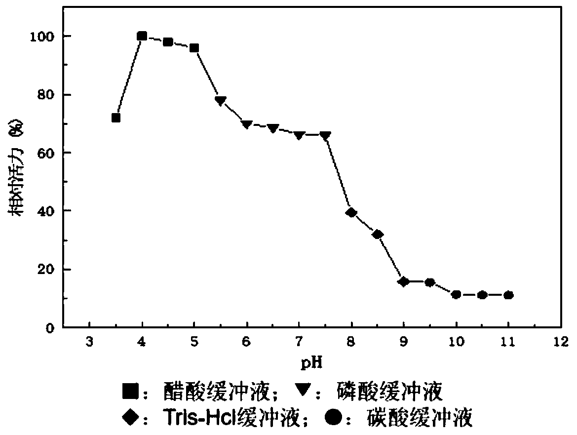 Leuconostoc citreum for producing acid inulase and application
