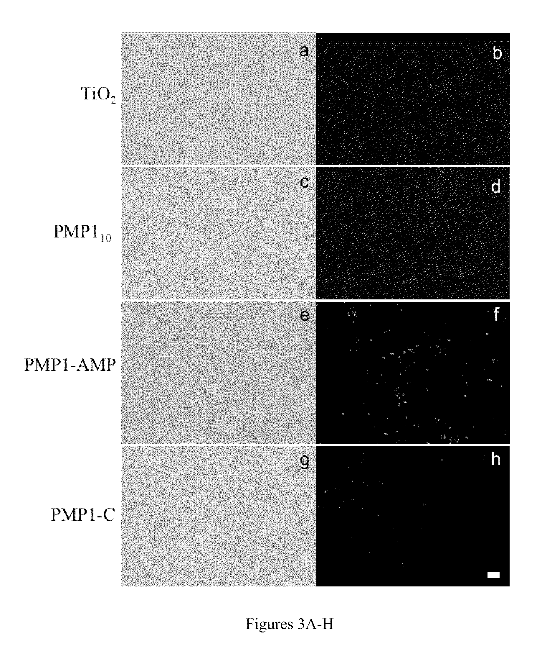 Surface-Immobilized Antimicrobial Peptoids