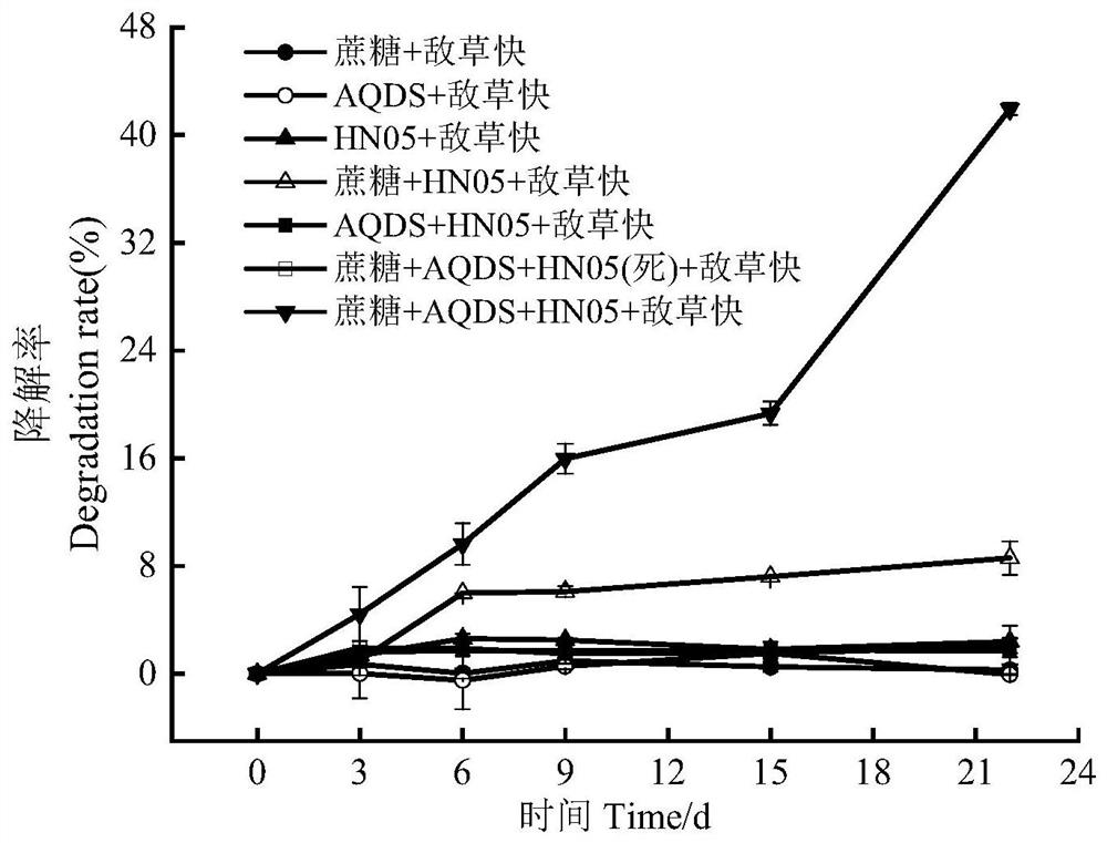 Rice kosakonia oryzae HN05 and application thereof