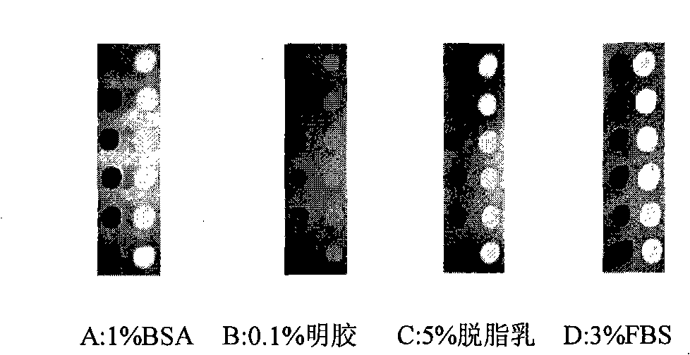 Visible protein chip for detecting poultry disease serum antibody, its preparation method and application