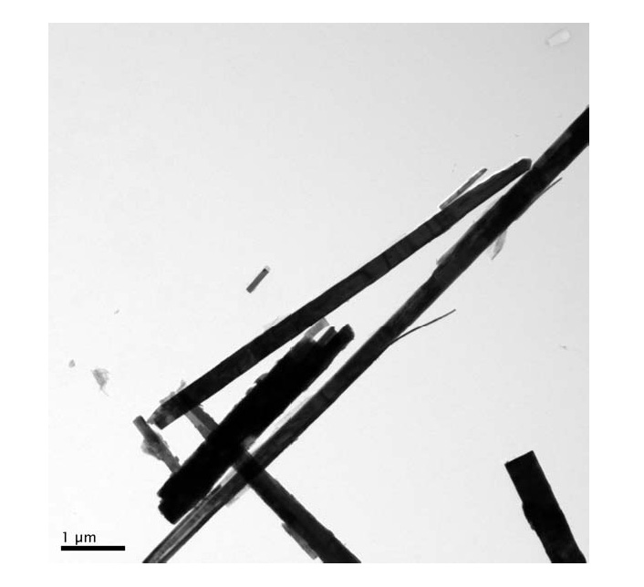 Vanadium dioxide-doped powder and dispersion, and preparation method and application thereof