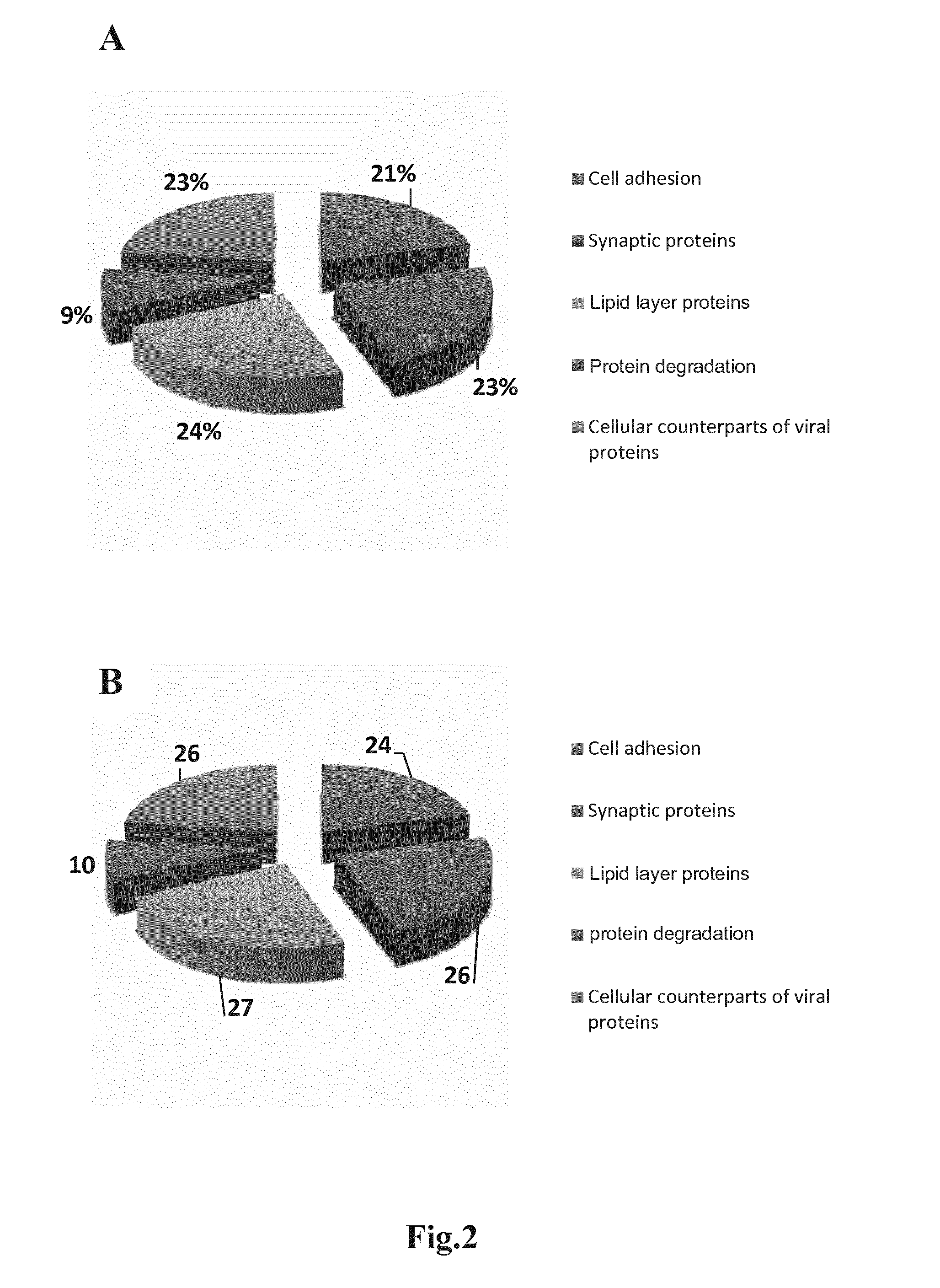 Method of providing monoclonal auto-antibodies with desired specificity