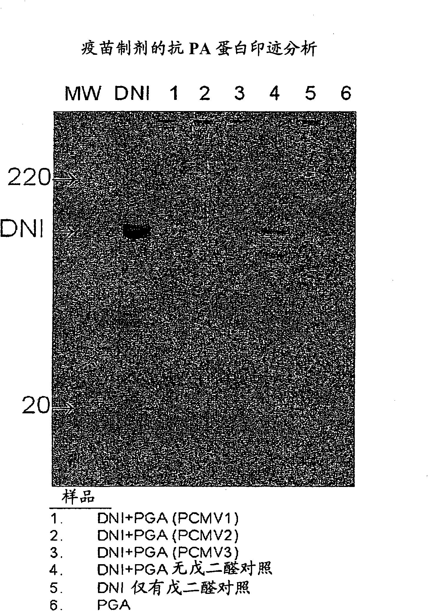 Protein matrix vaccines and methods of making and administering such vaccines