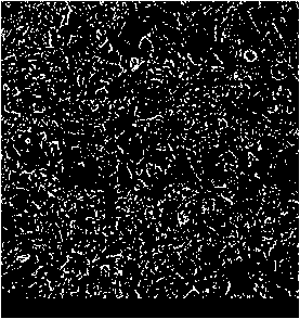 Device and method for diamond micro-powder overflowing grading treatment